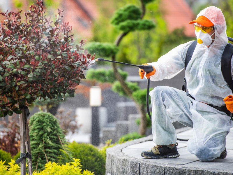 Aslanapa Haşere İlaçlama